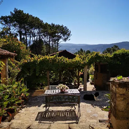 Shakti Rio Mino, O Rosal