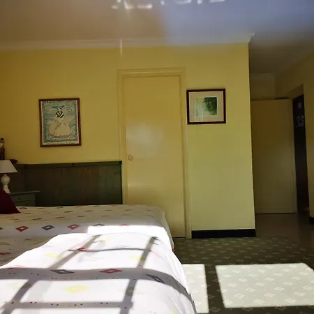 Shakti Rio Mino, O Rosal