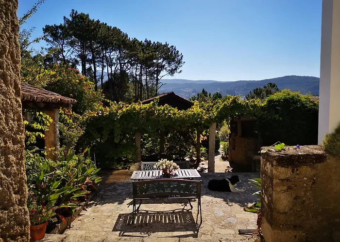 Shakti Rio Mino, O Rosal